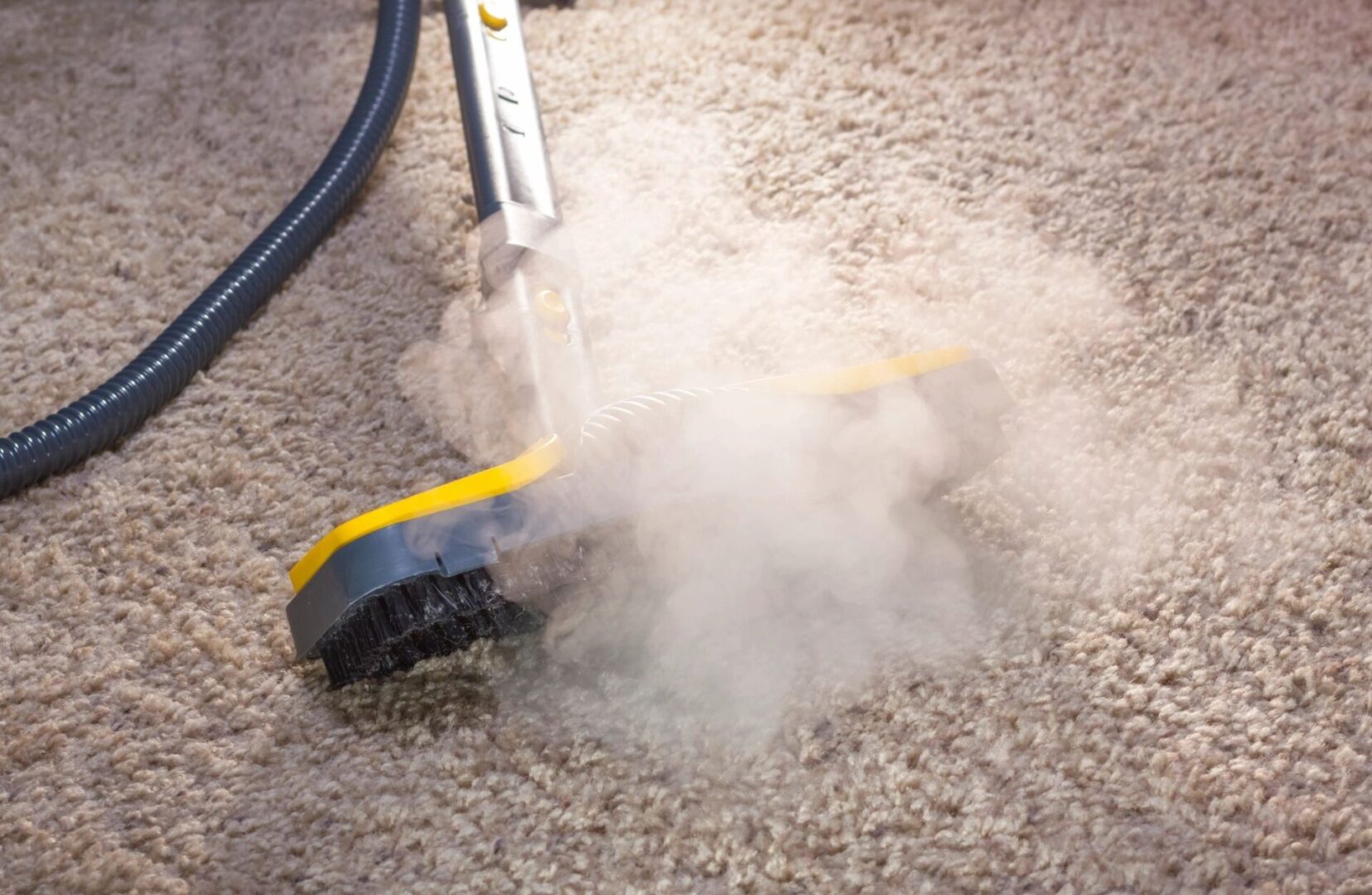 steam cleaner carpet